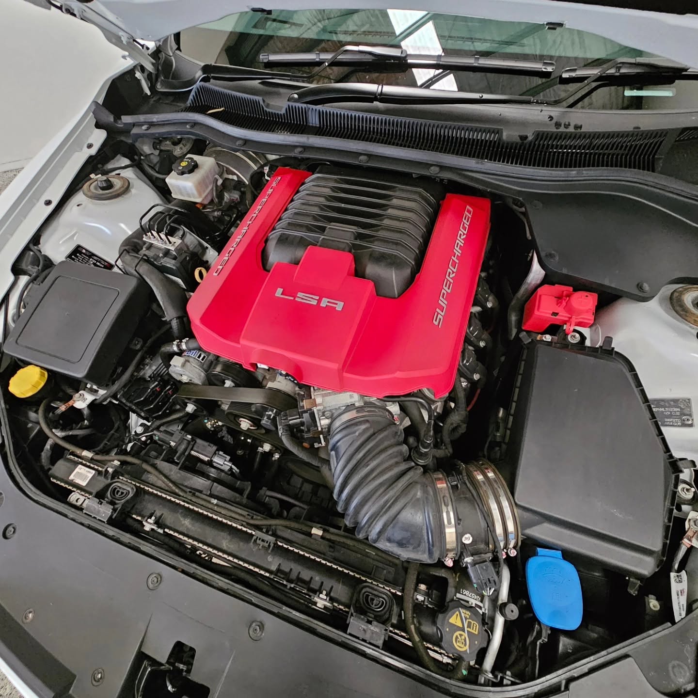 2017 HSV GTSR 7